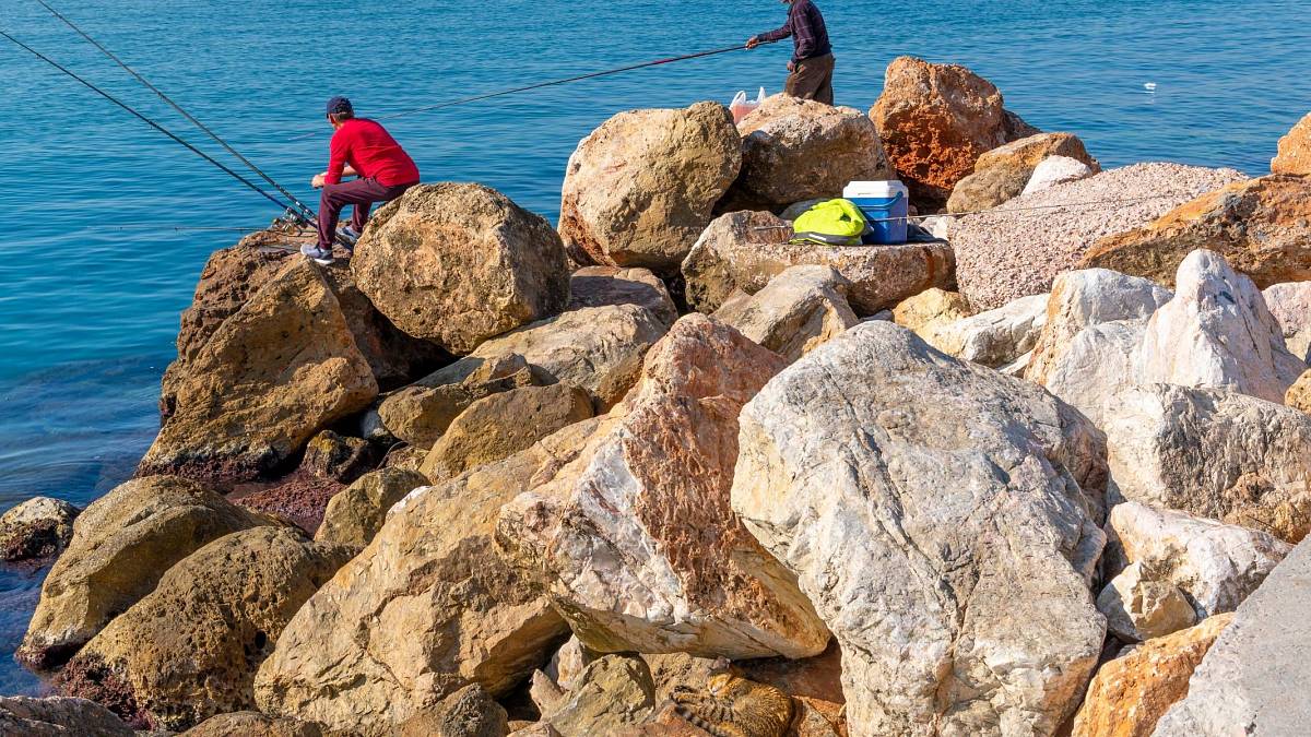 Dnešní výzva: Najděte kočku během 10 sekund