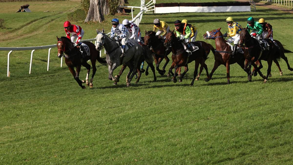 Ve Velké pardubické vítězí Češi, od roku 2005 nezvítězil žádný cizinec s jedinou výjimkou