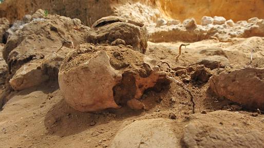 Děsivý nález při práci na elektrickém vedení: Archeologové objevili kosti staré jako nejstarší pyramidy
