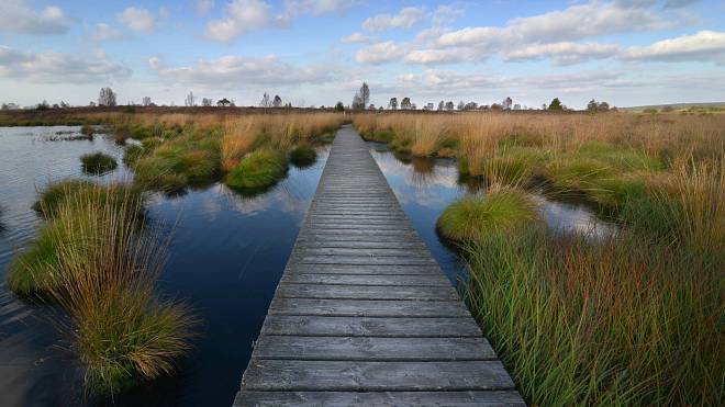 Sibiřské zimy a pozůstatky doby ledové v belgických Ardenách. To je pozoruhodná přírodní rezervace Hautes Fagnes